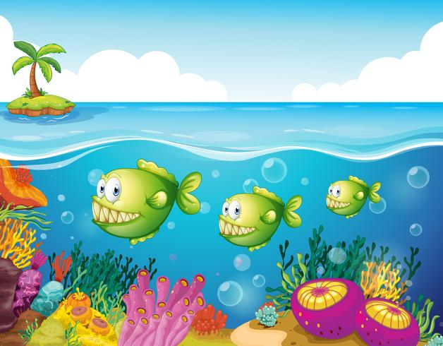 Três piranhas verdes sob o mar vetor