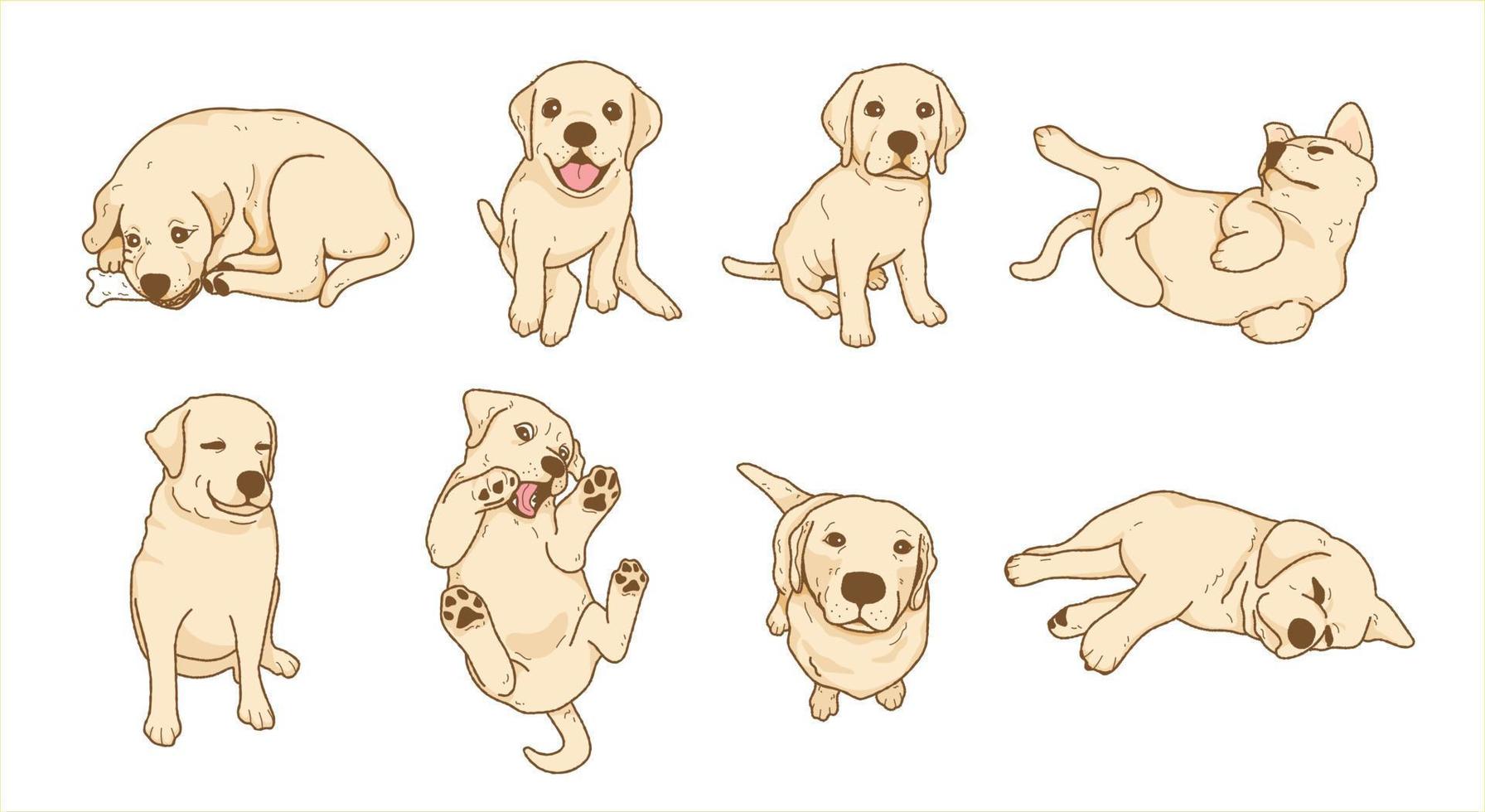 escavação de labrador retriever brincalhão dos desenhos animados, coleção de ilustração de cachorrinho vetor