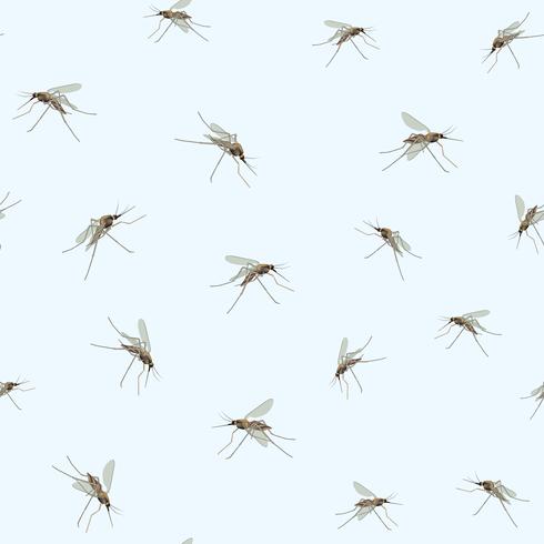 Mosquitos no fundo do céu azul. Padrão sem emenda de incesto. vetor