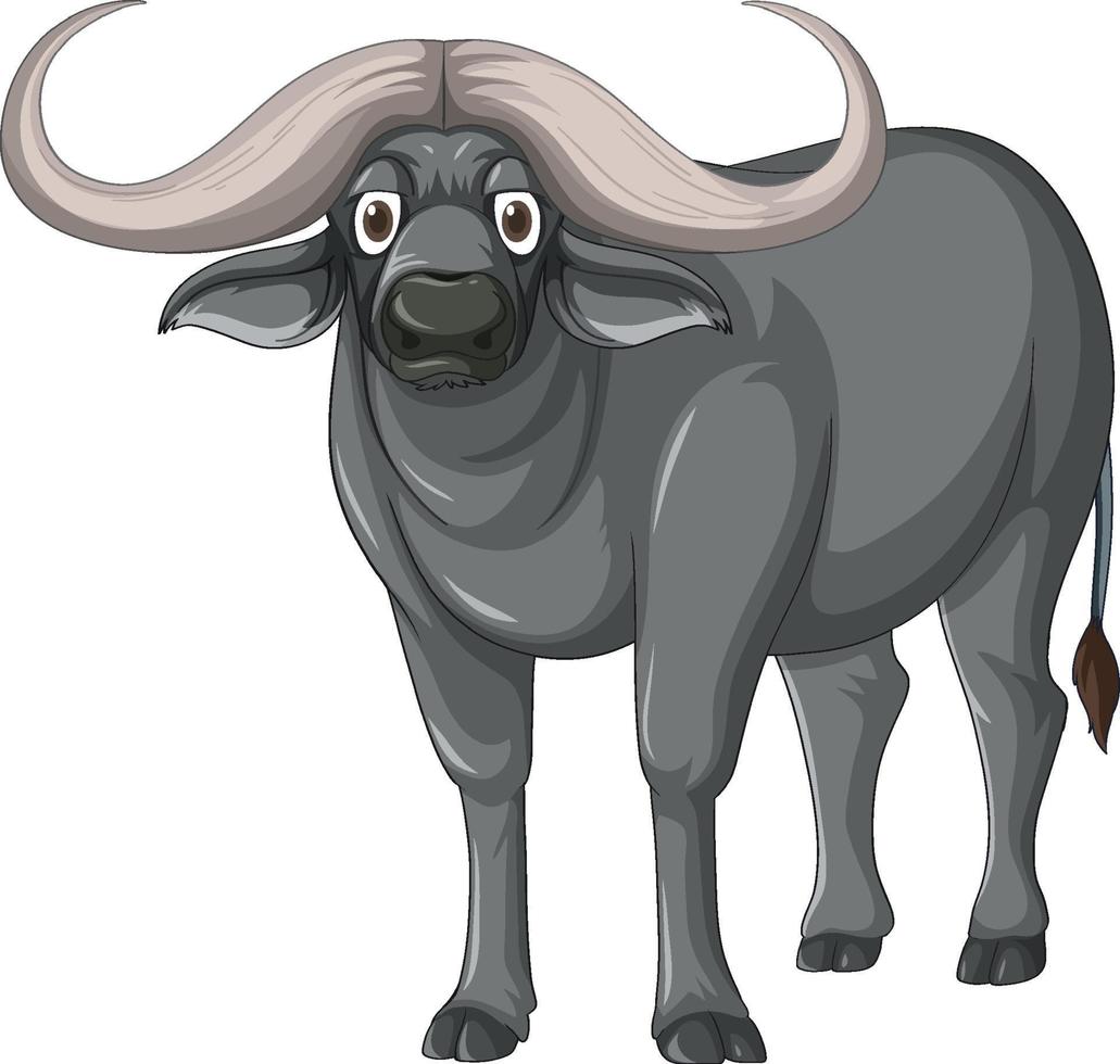búfalo africano isolado no fundo branco vetor