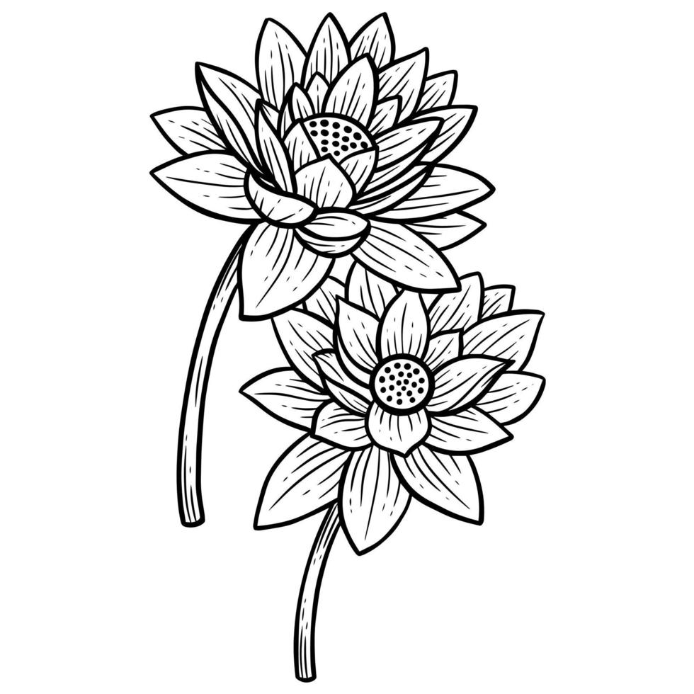 flores desenhadas à mão folhas de lótus naturais adesivos isolados ilustração de arte de linha botânica preta vetor