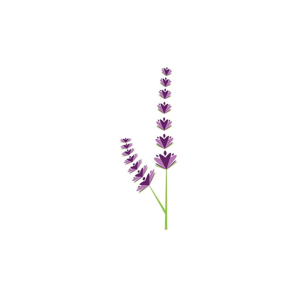 design plano de vetor de logotipo de flor de lavanda fresca