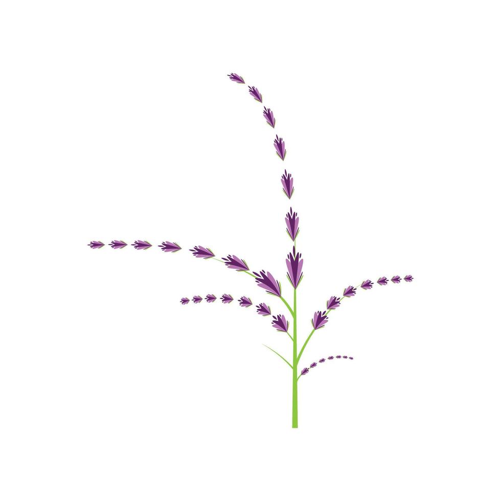 design plano de vetor de logotipo de flor de lavanda fresca