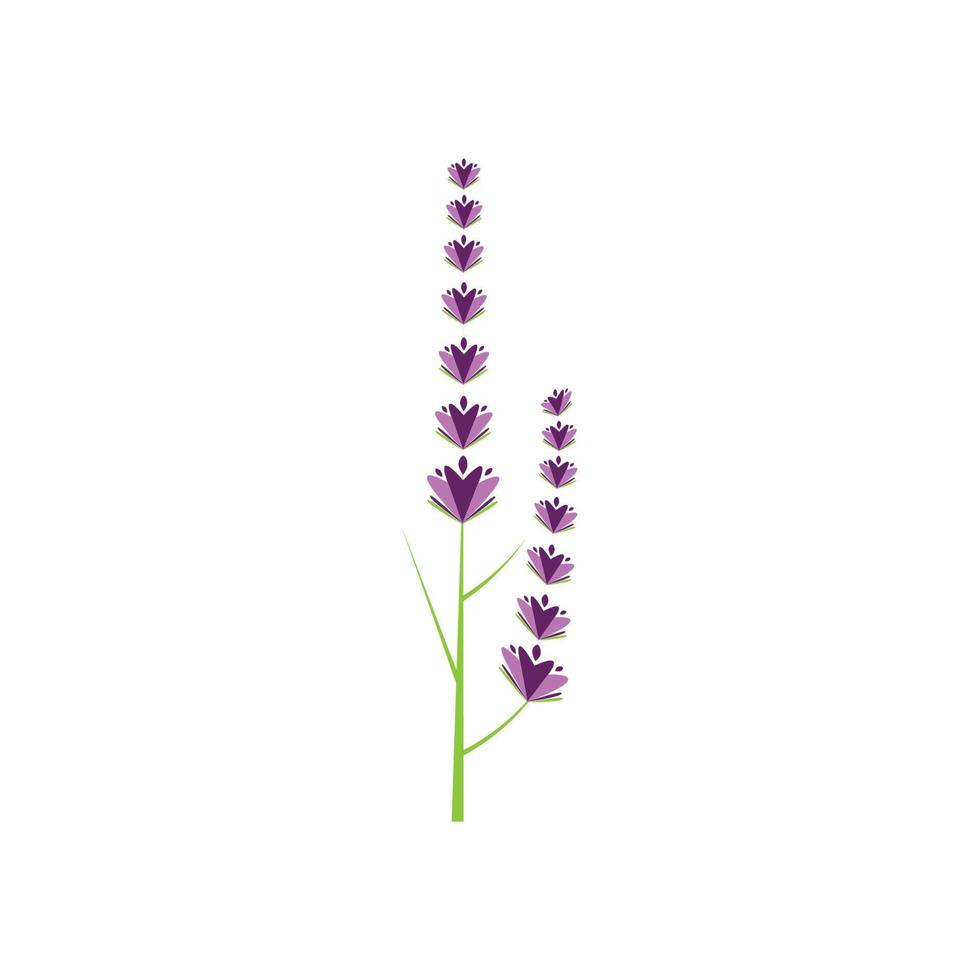 design plano de vetor de logotipo de flor de lavanda fresca