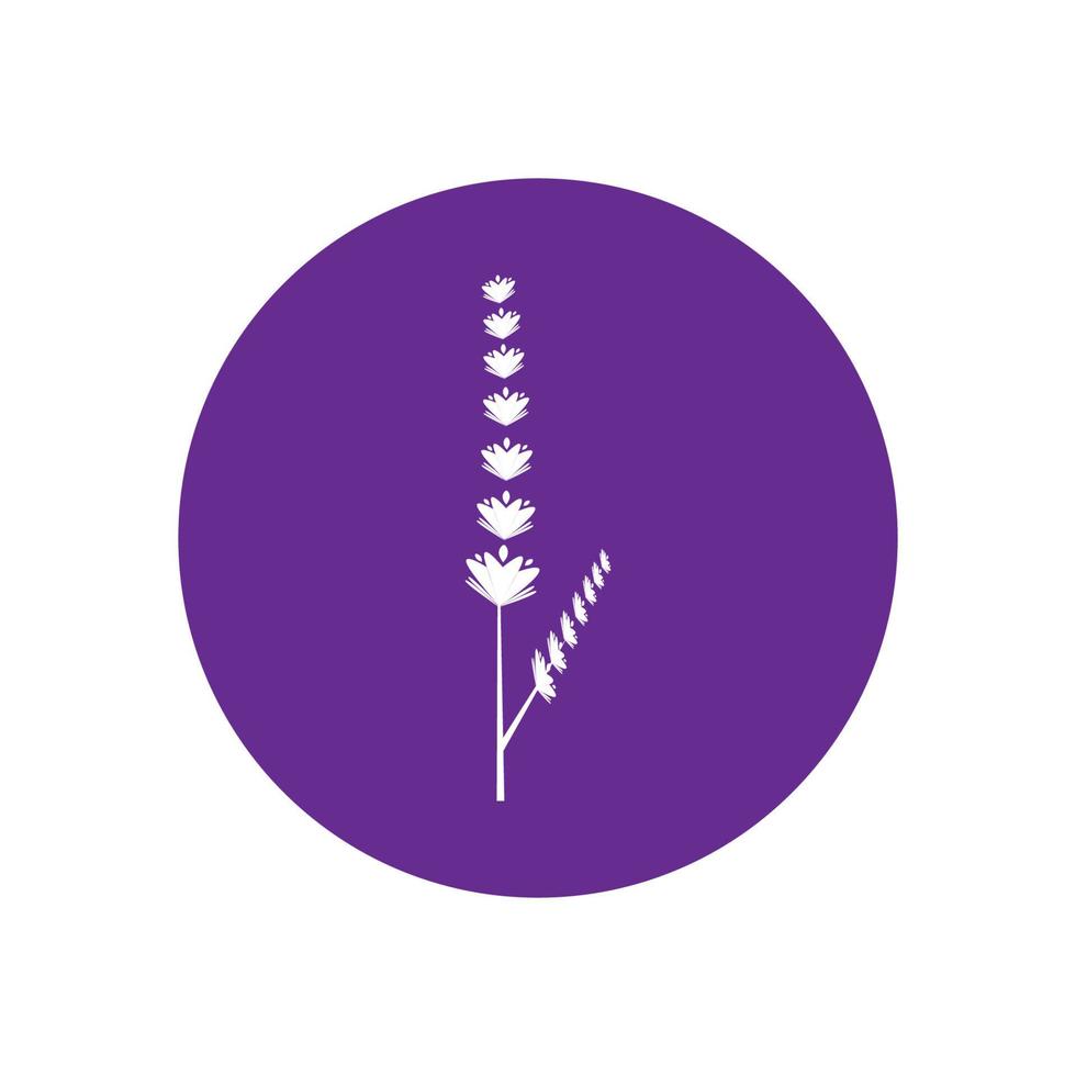 design plano de vetor de logotipo de flor de lavanda fresca