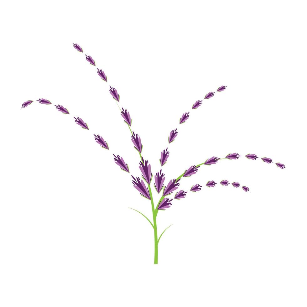 design plano de vetor de logotipo de flor de lavanda fresca