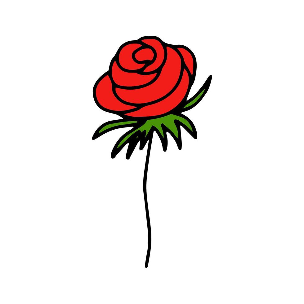 a mão da flor desenha um line.red rose.doodle style.floral e herbal.for bouquets, decorations.vector vetor