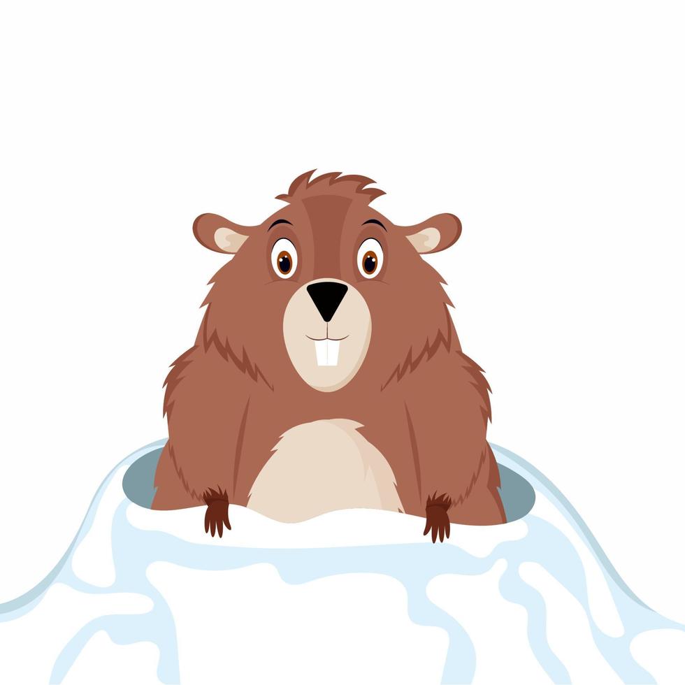 dia da Marmota. marmota engraçada e feliz olha para fora de seu buraco de neve. ilustração vetorial isolada em um fundo branco. vetor