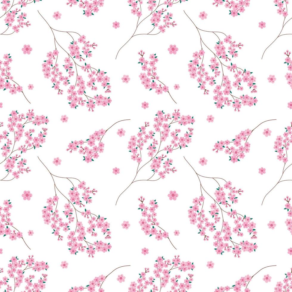 padrão sem emenda de flores de sakura. vector fundo branco sem fim com flor de sakura. design de primavera com elementos florais