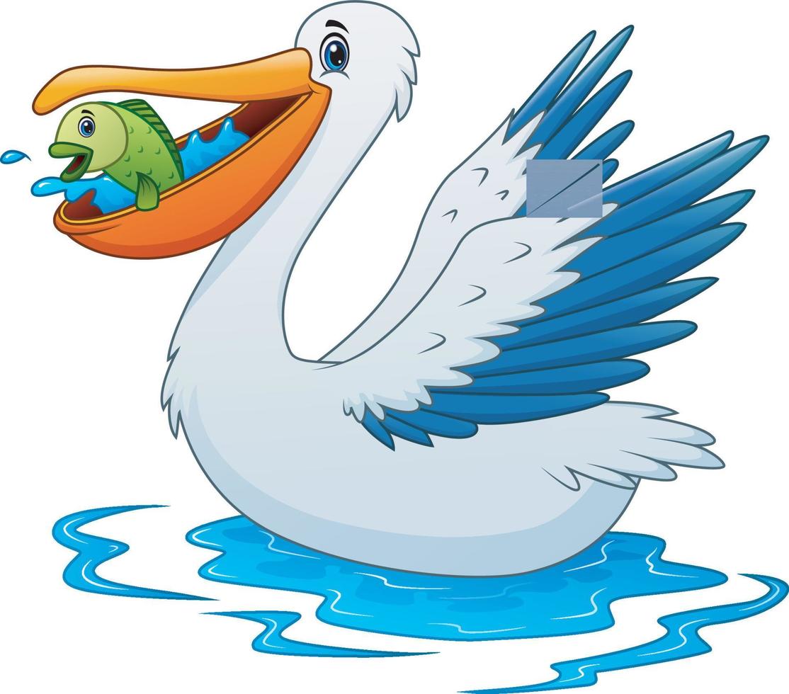 desenho de animal pelicano comendo um peixe na água vetor