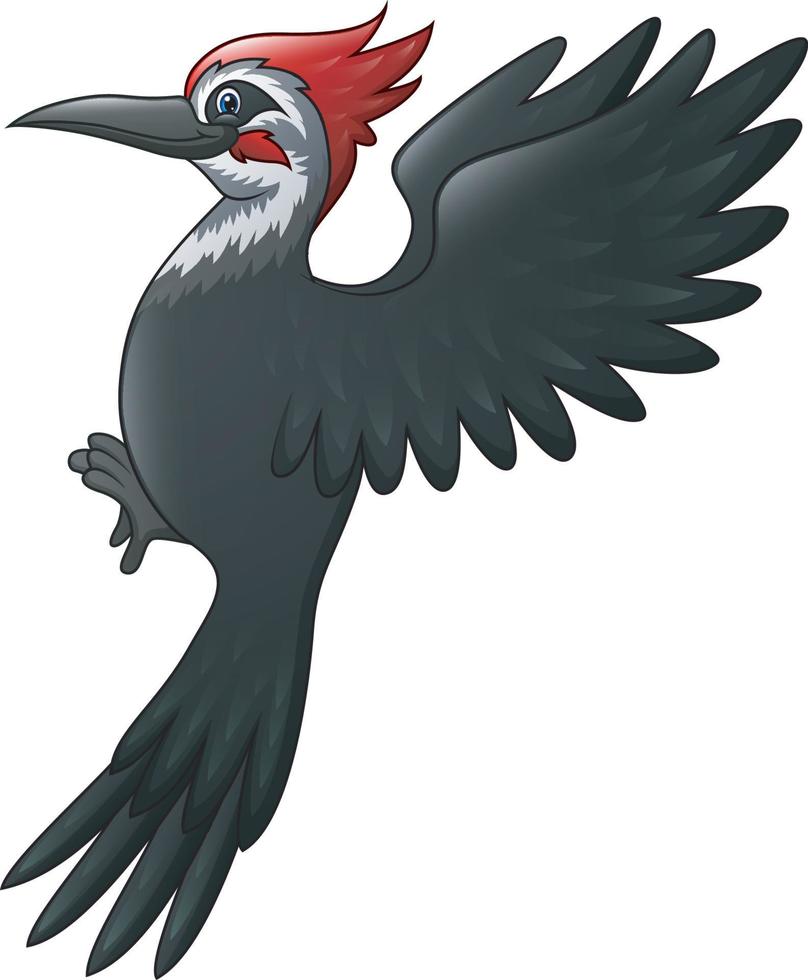 um belo desenho de pássaro pica-pau vetor