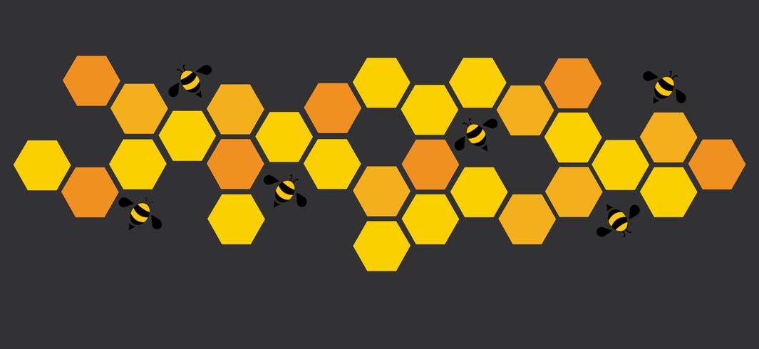 hexagon bee bee hive design arte e espaço de fundo vetor