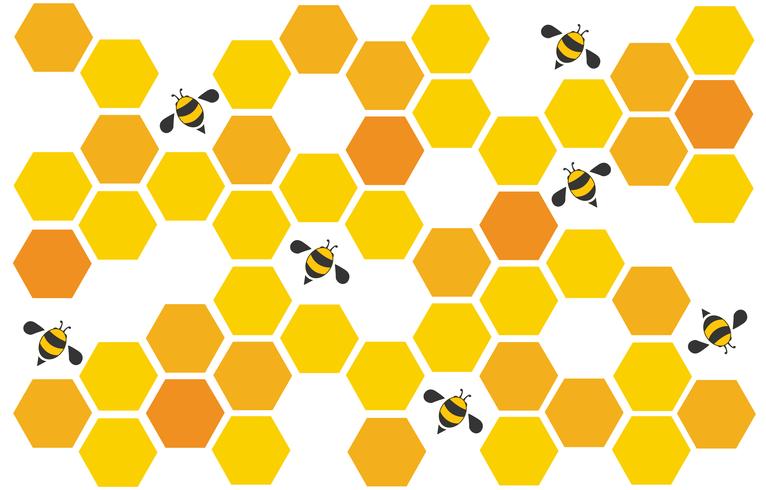 hexagon bee bee hive design arte e espaço de fundo vetor