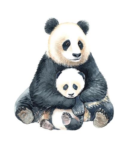 Panda de aquarela e panda bebê. vetor