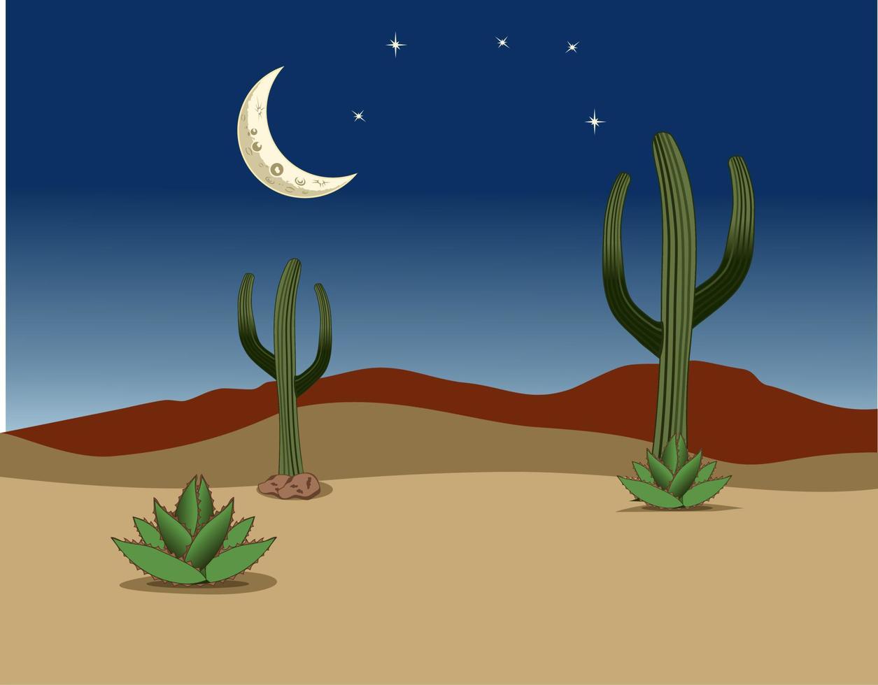 ilustração de design de desenho animado de paisagem do deserto à noite vetor