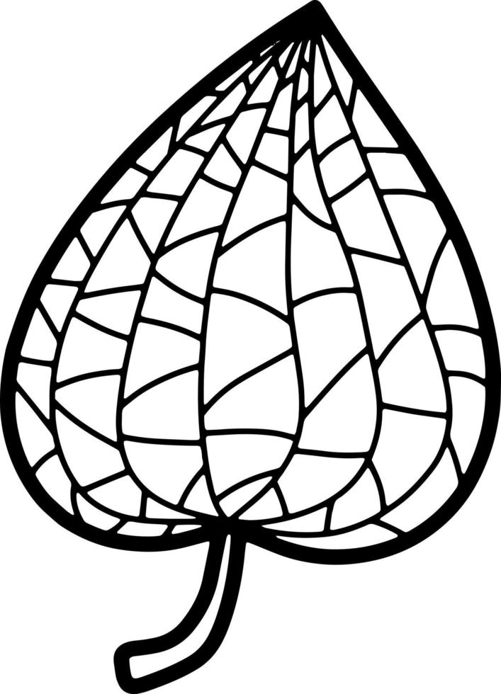 doodle ilustração vetorial de fruta physalis linha preta. estilo de arte de linha de ilustração de frutas saborosas exóticas. vetor