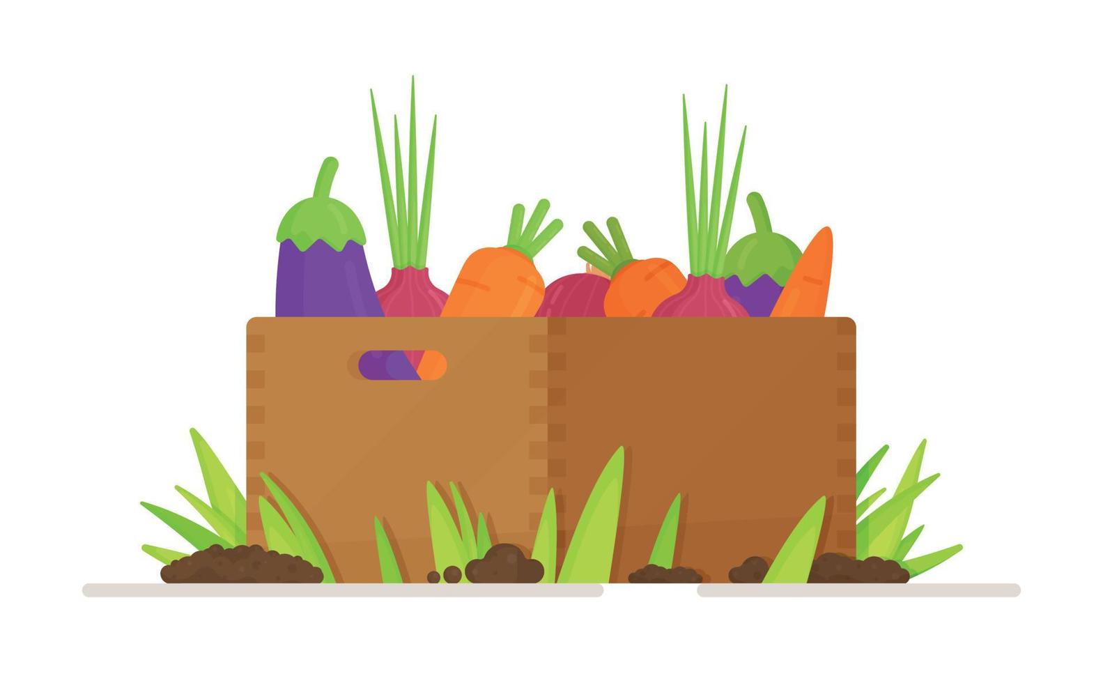 uma caixa de legumes colhidos da horta da aldeia. ilustração em vetor de colheita e plantio de novos.