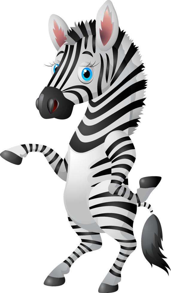 zebra de desenho animado legal vetor