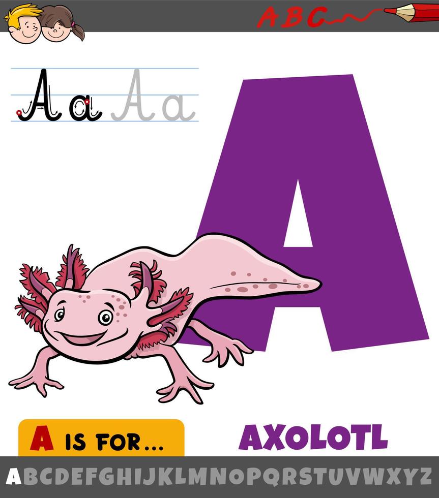 letra a do alfabeto com animal axolotl de desenho animado vetor