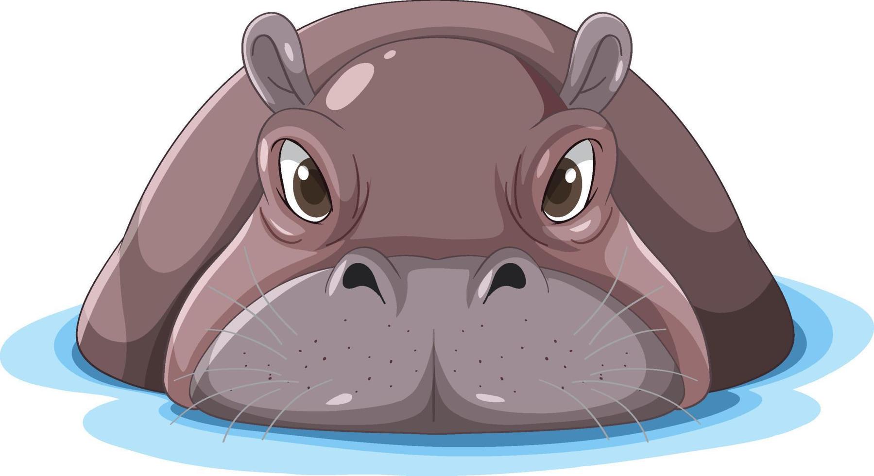 frente do rosto de hipopótamo na água vetor
