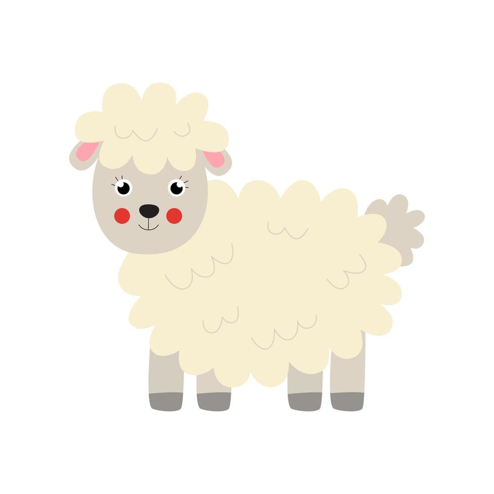 ilustração em vetor de ovelhas isoladas no fundo branco.
