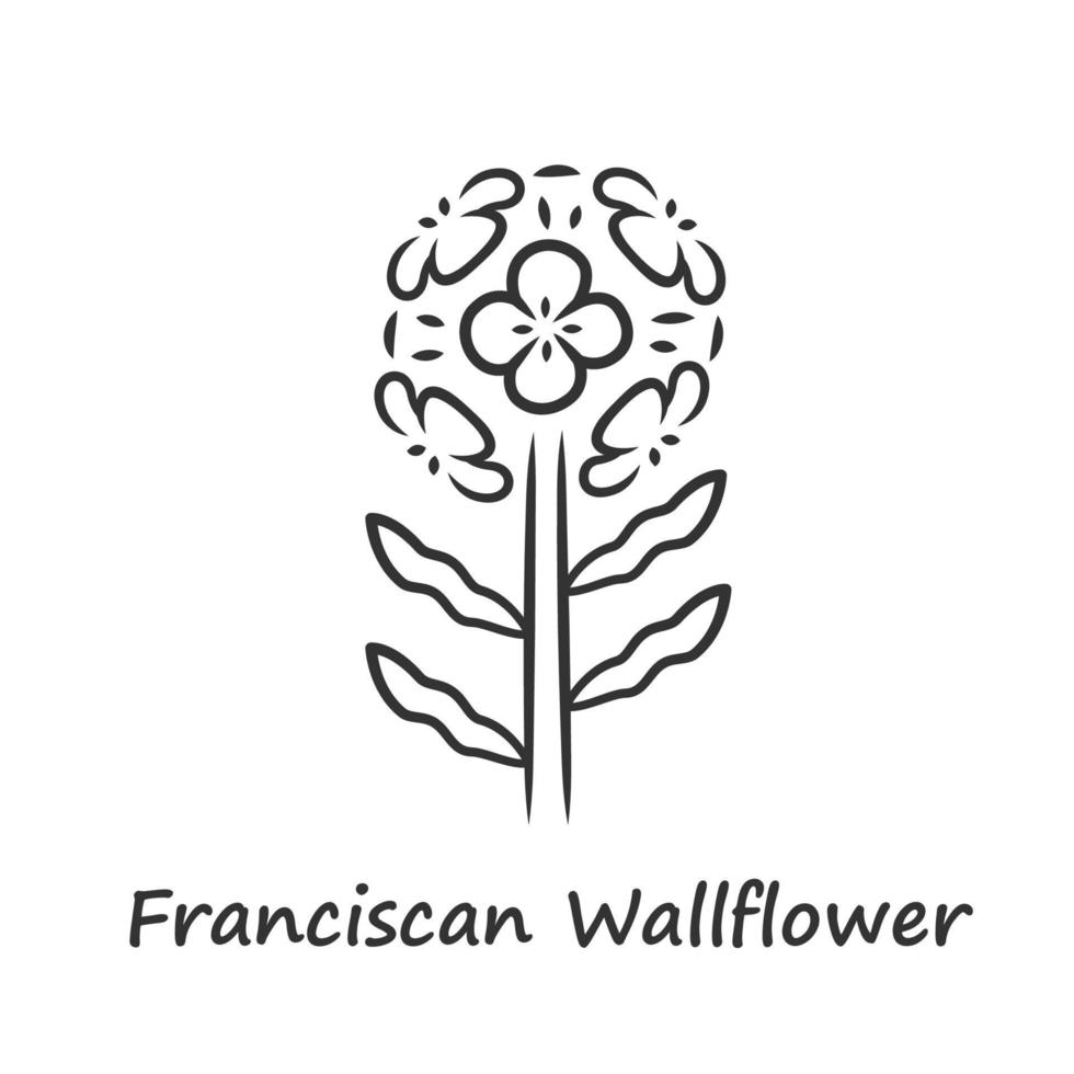 ícone linear de wallflower franciscano. planta de jardim com inscrição de nome. inflorescência de erysimum franciscanum. ilustração de linha fina. símbolo de contorno. desenho de contorno isolado de vetor