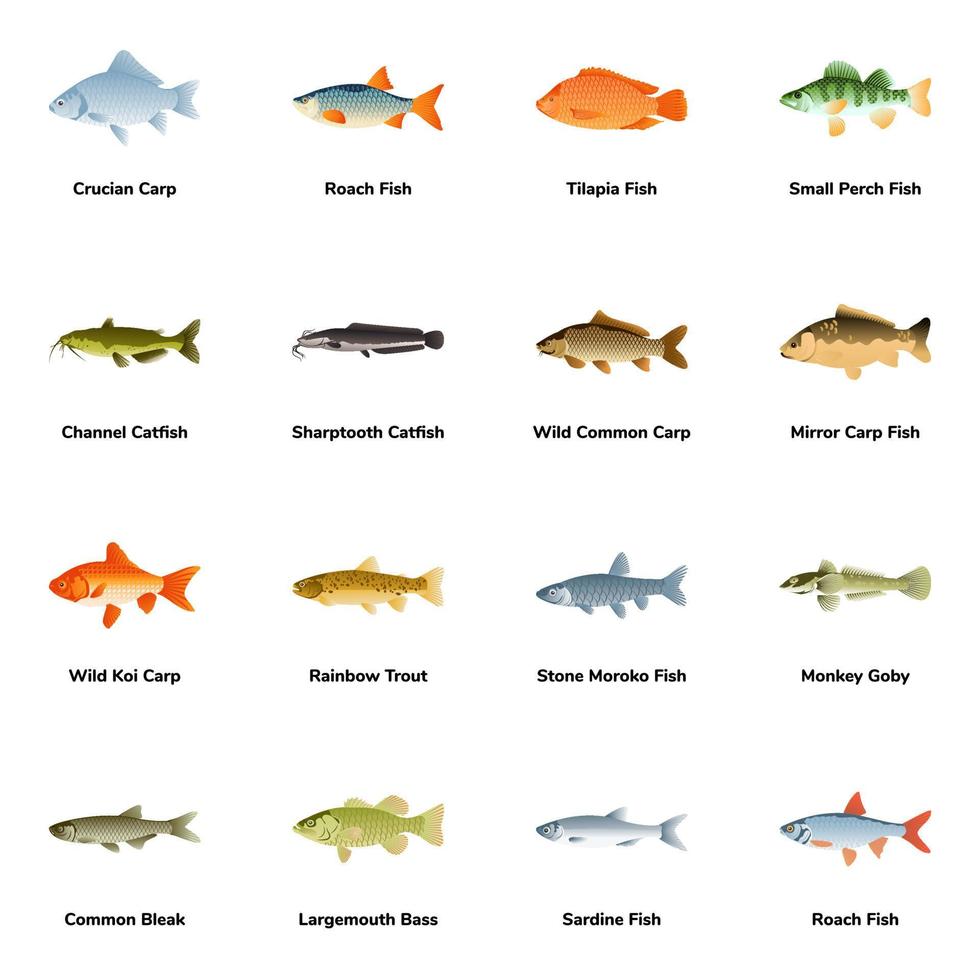 ícones planos de tipos de peixes do Atlântico vetor