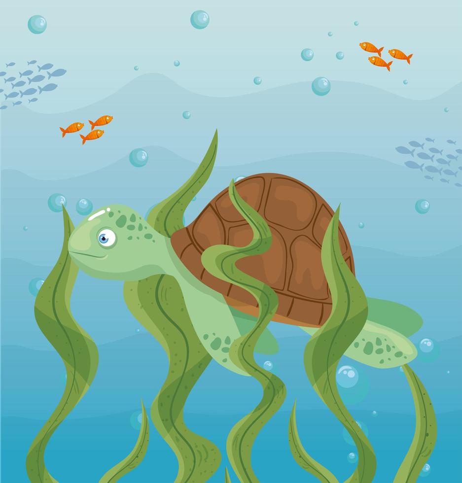 tartaruga e vida marinha no oceano, habitantes do mundo marinho, criaturas subaquáticas fofas, fauna submarina vetor