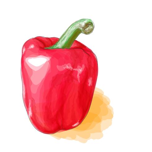 Vetor de pimentos doces com estilo aquarela.