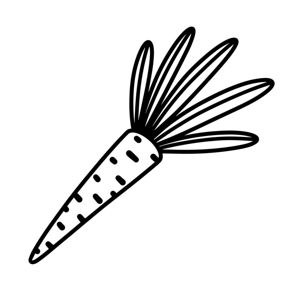 ícone de vetor simples de cenoura. mão desenhada ilustração isolada no fundo branco. vegetal de jardim fresco com folhas. esboço de comida, doodle de raiz comestível. clipart monocromático para decoração, design