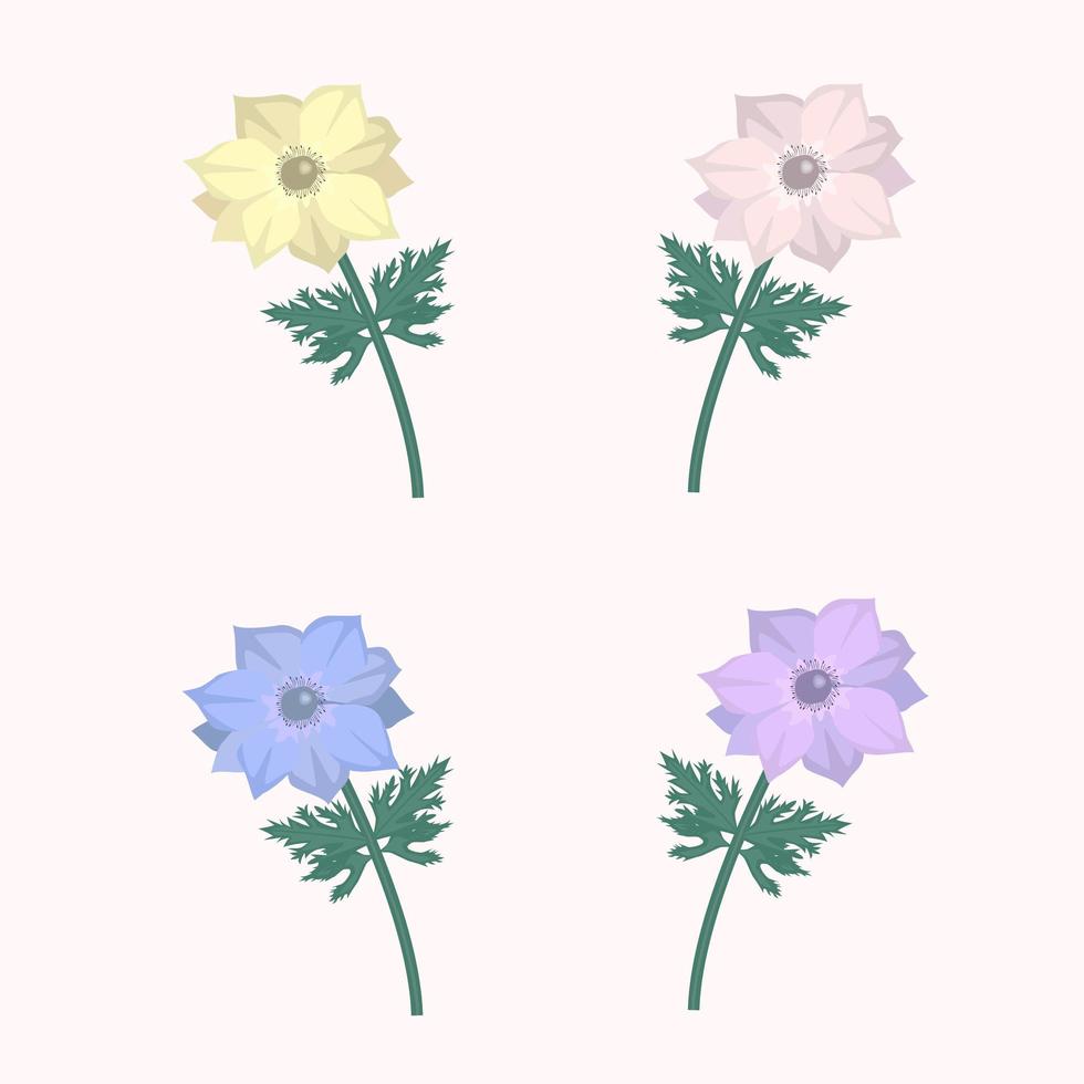 conjunto floral com flores de anêmona de cores diferentes vetor