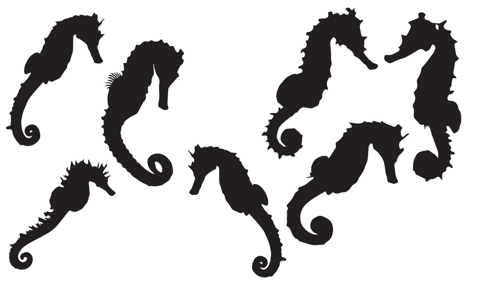 coleção de cavalos-marinhos em design de ilustração vetorial de fundo branco e preto isolado vetor