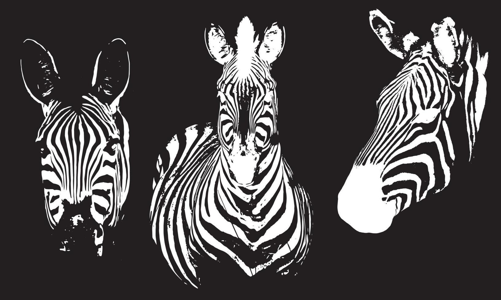 cabeça de silhuetas de design de ilustração vetorial zebra fundo preto e branco vetor