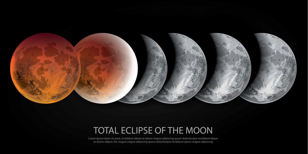 Eclipse total da ilustração vetorial de lua vetor