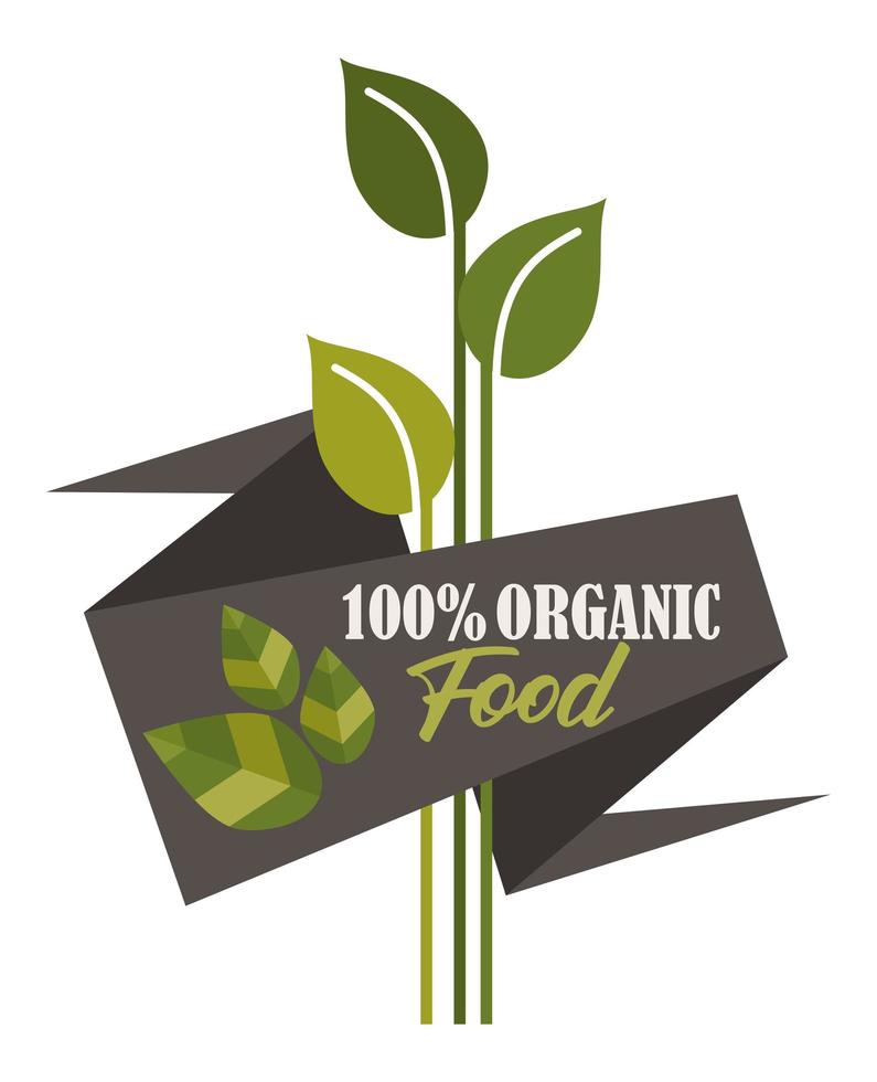 100 por cento de alimentos orgânicos vetor