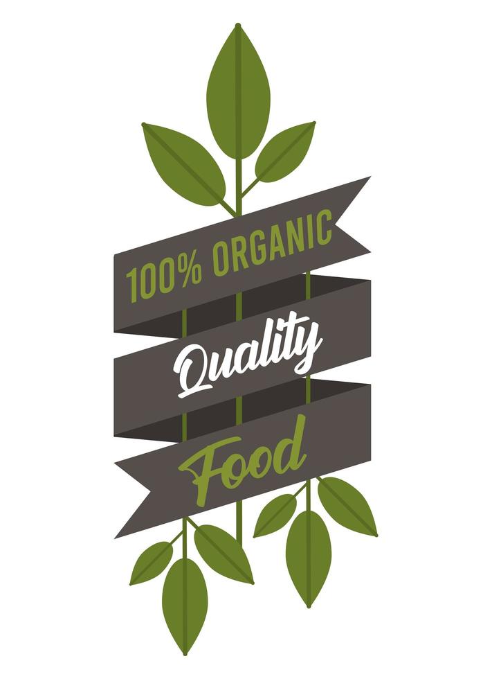 comida orgânica de qualidade vetor