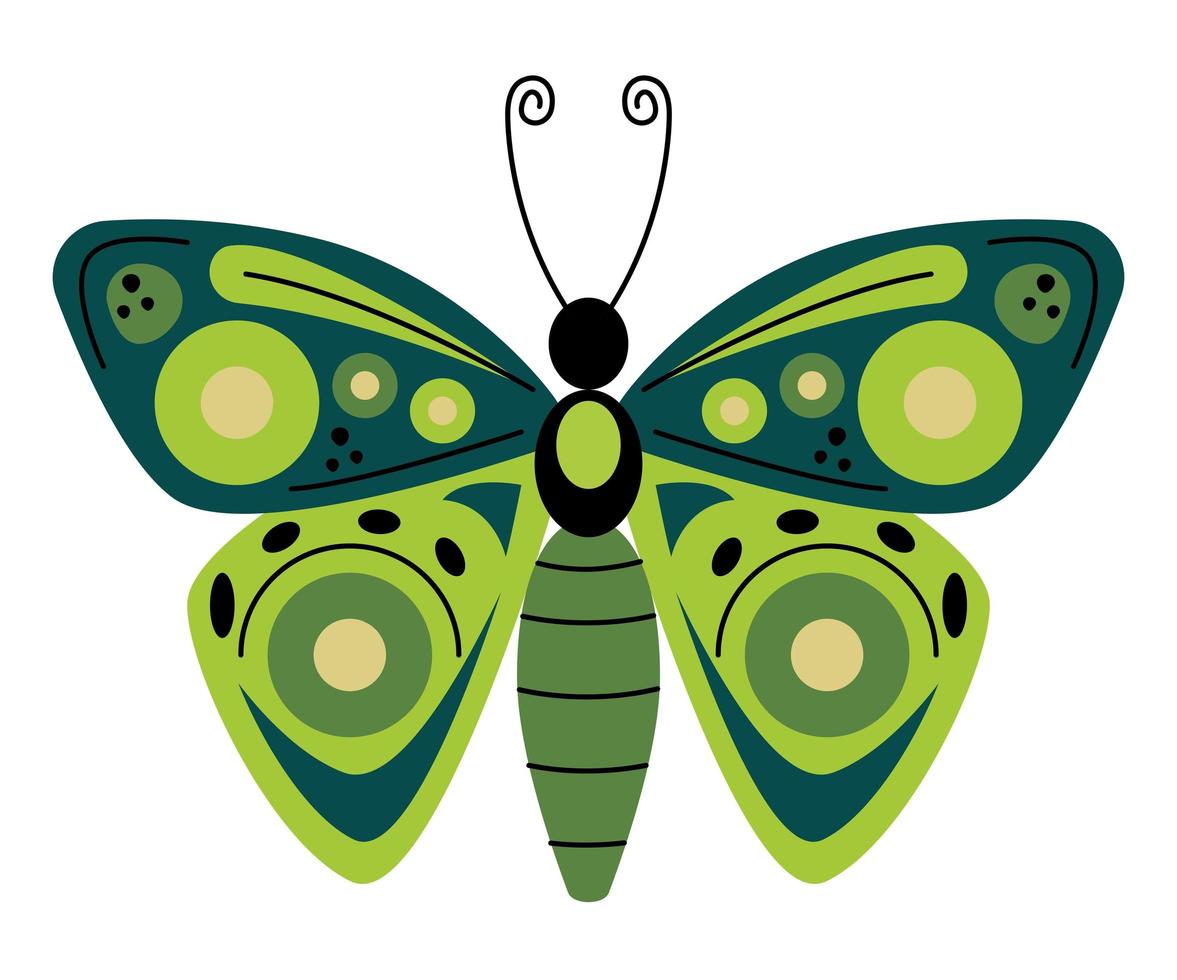 linda borboleta verde vetor