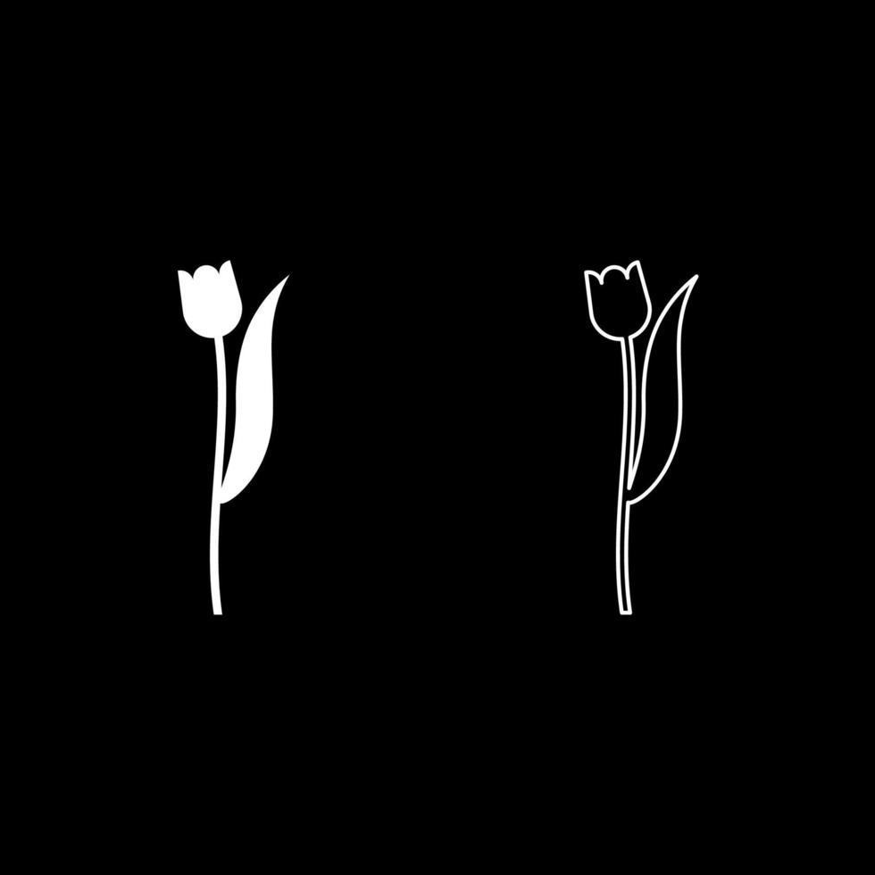 flor tulipa planta silhueta ícone contorno conjunto ilustração vetorial de cor branca imagem de estilo plano vetor