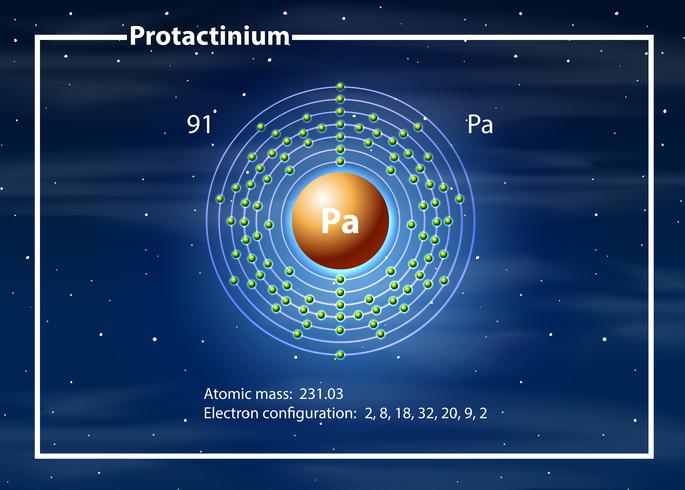 Um diagrama de átomos de protactínio vetor