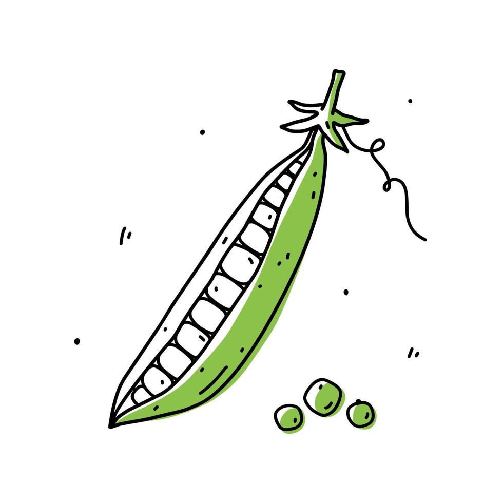 vagem de ervilha verde isolada no fundo branco. alimentos saudáveis orgânicos. ilustração vetorial desenhada à mão em estilo doodle. perfeito para cartões, logotipo, decorações, receitas, vários designs. vetor