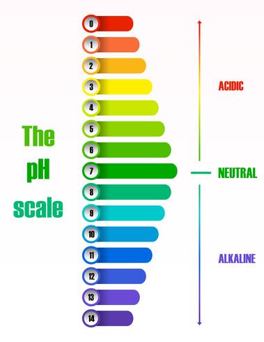 O diagrama de escala de ph vetor