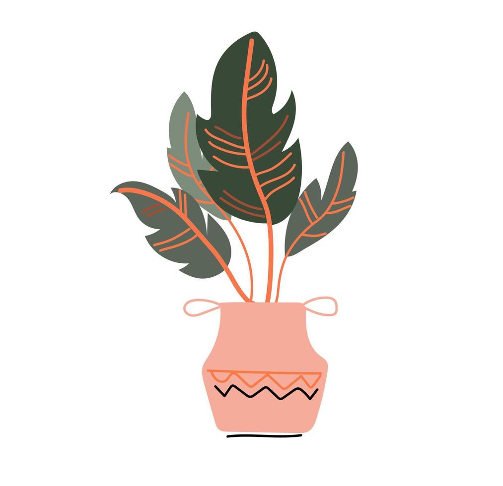 planta em casa cores boho e desenho vetorial de desenho animado desenhado. vetor