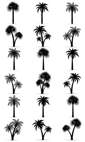 ilustração em vetor silhueta preta contorno de árvore de palma