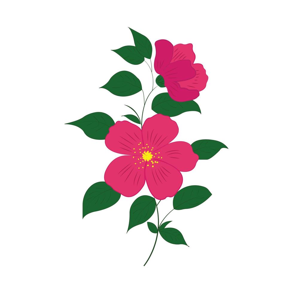 flores de hibisco isoladas em branco. ilustração vetorial. vetor