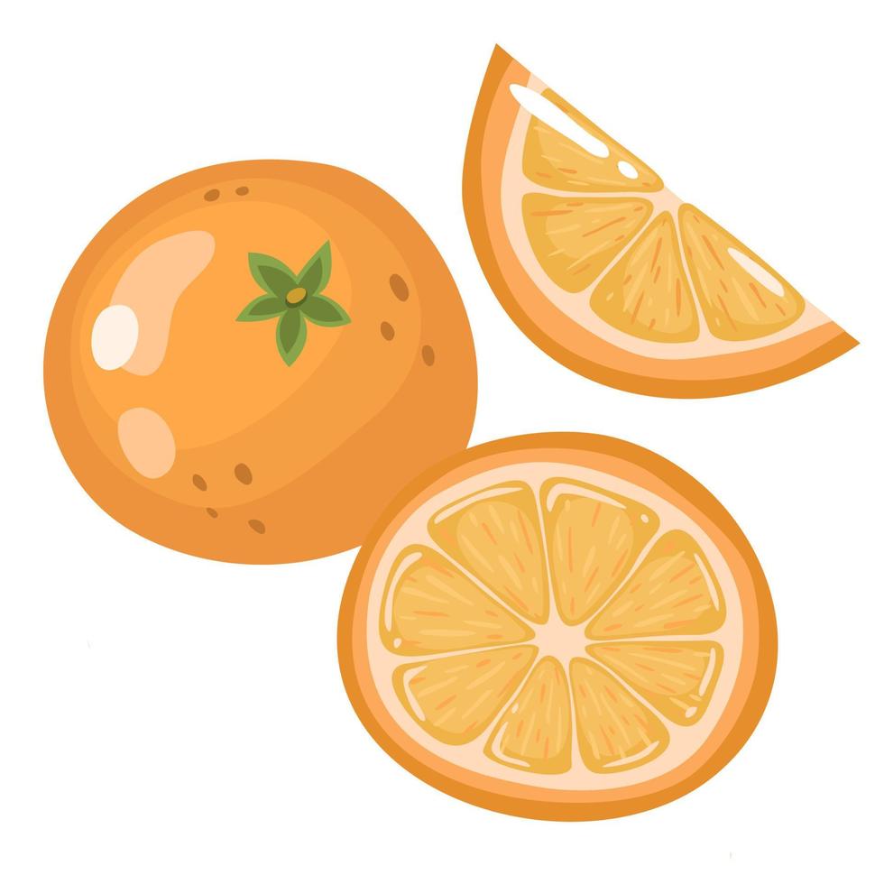 conjunto de fatias frescas inteiras, metade, fatiadas de frutas laranja, isoladas em um fundo branco. mandarim. frutas orgânicas. estilo de desenho animado. ilustração vetorial para qualquer projeto. vetor