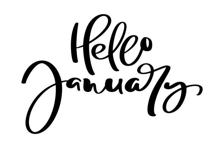 Olá mão desenhada letras frase janeiro. Letras de tinta pincel para cartão de convite de inverno para o calendário. Frase manuscrita para banner, flyer, cartão vetor