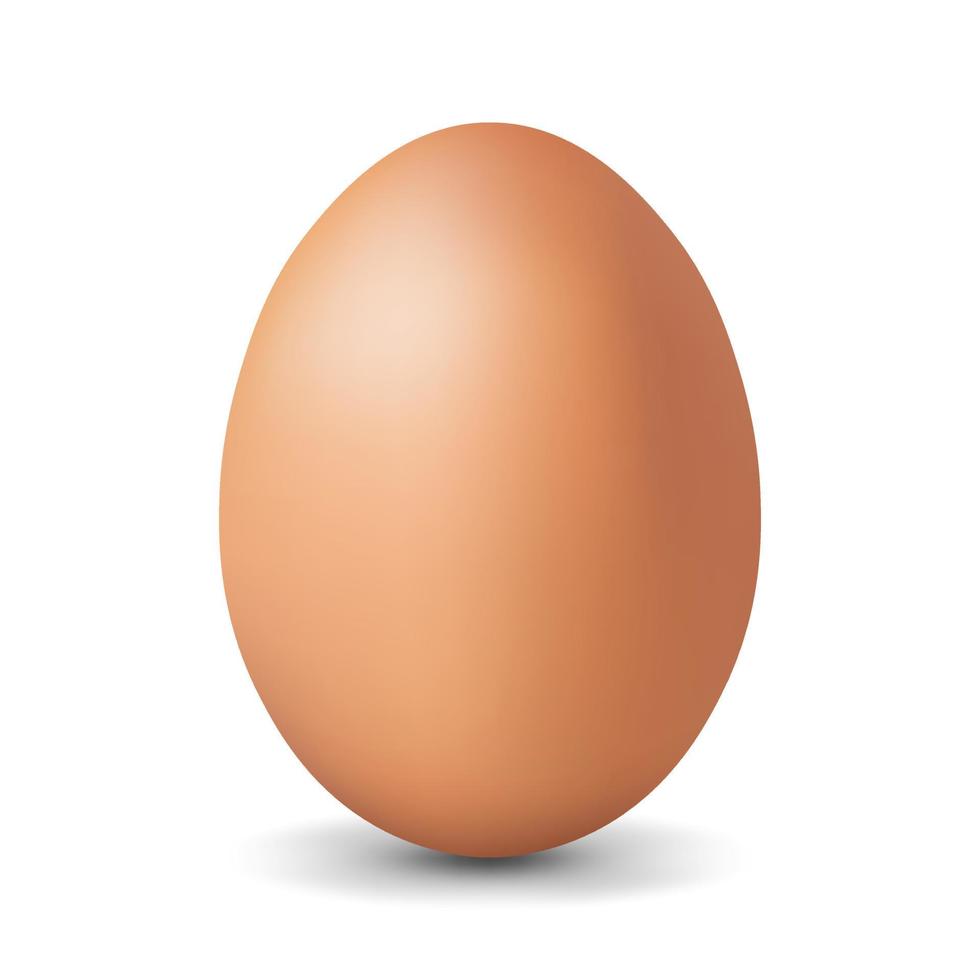 ovo de galinha marrom ovo realista e volumétrico para a páscoa isolado no fundo branco vetor