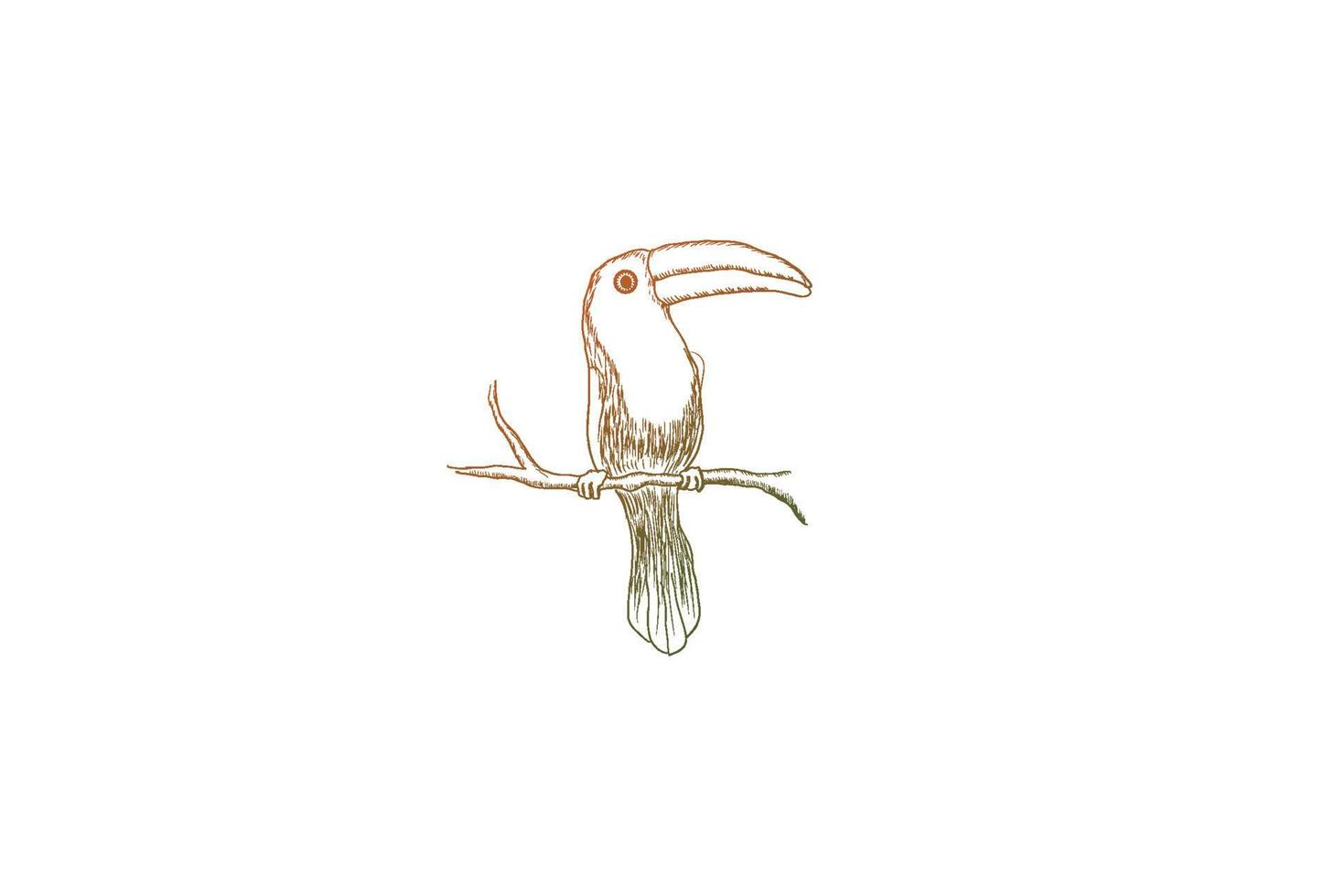 vetor de design de logotipo de pássaro de tucano desenhado à mão retrô vintage