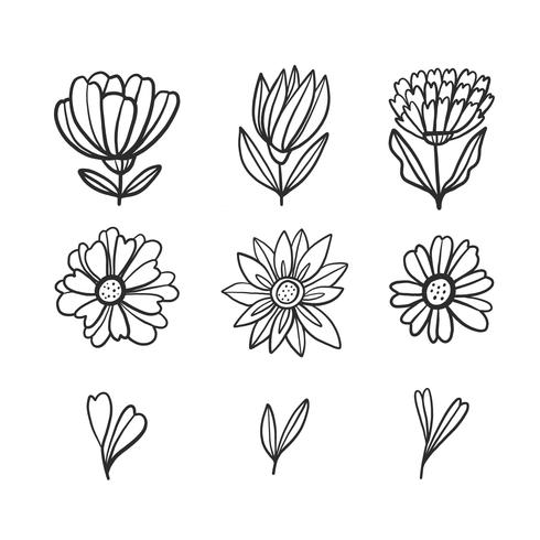 Doodle de flores e folhas coleção vetor