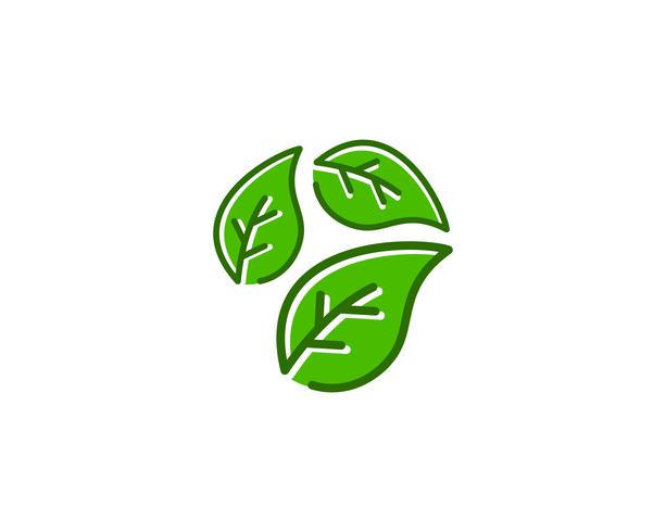 Natural Leaf Logo ícone Vector